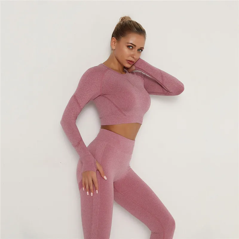 Babs Seamless Long Sleeve Slim Fit Crop Top