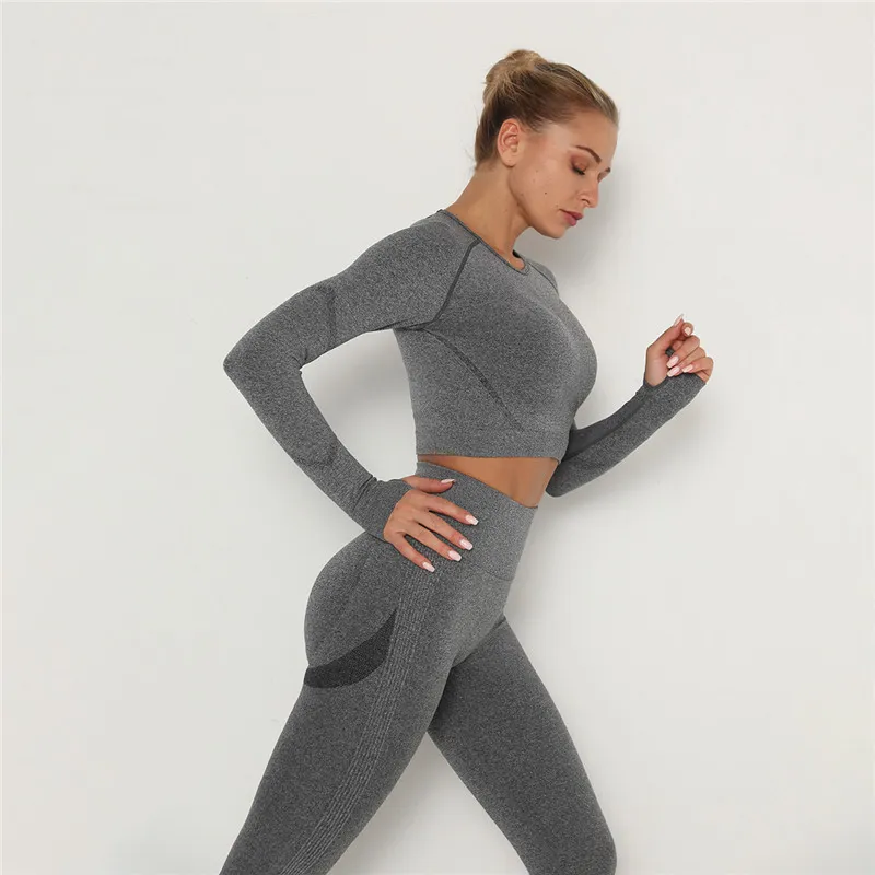 Babs Seamless Long Sleeve Slim Fit Crop Top