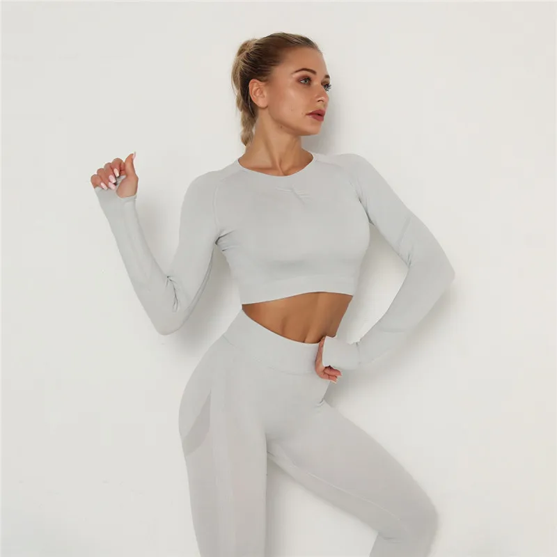 Babs Seamless Long Sleeve Slim Fit Crop Top