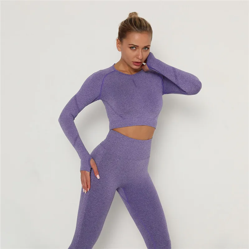 Babs Seamless Long Sleeve Slim Fit Crop Top