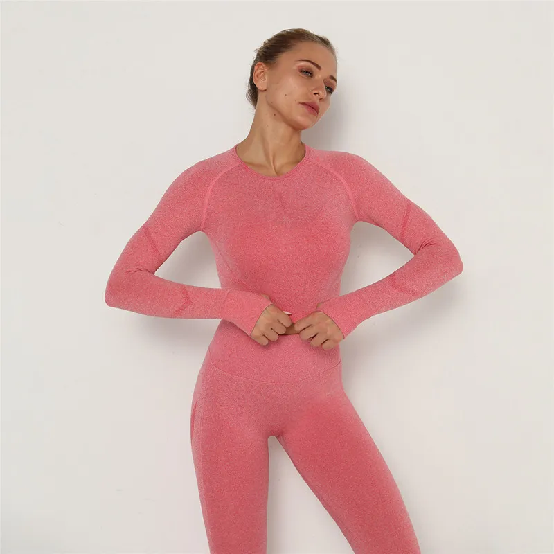 Babs Seamless Long Sleeve Slim Fit Crop Top