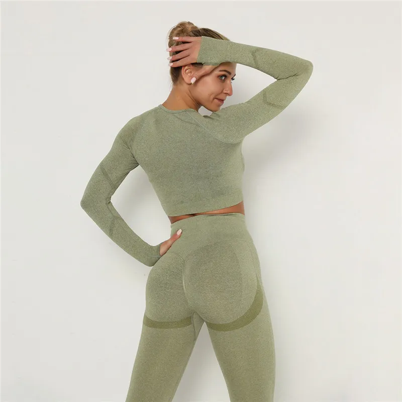 Babs Seamless Long Sleeve Slim Fit Crop Top