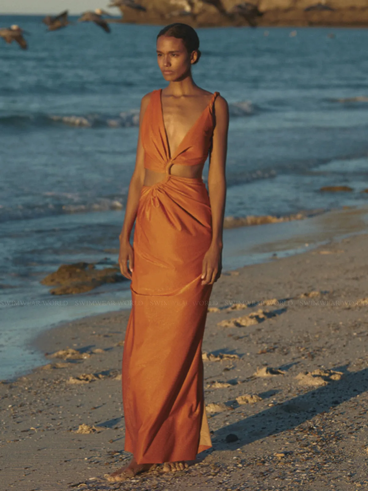 Dakota Dress ::RET