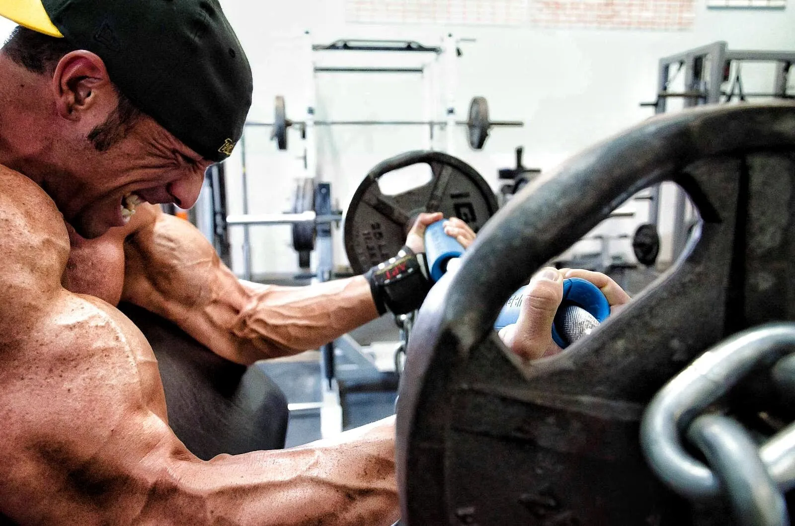 Fat Gripz - The Ultimate Arm Builder