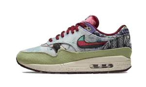 Nike Air Max 1 SP Concepts Mellow