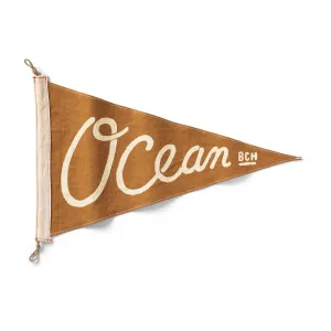 Ocean Beach Flag