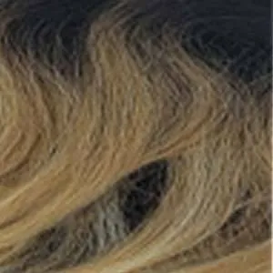 Outre Converti Cap Synthetic Hair Wig - SUGAR & SPICE