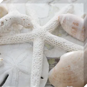 Sanibel II: Gallery Wrapped Canvas
